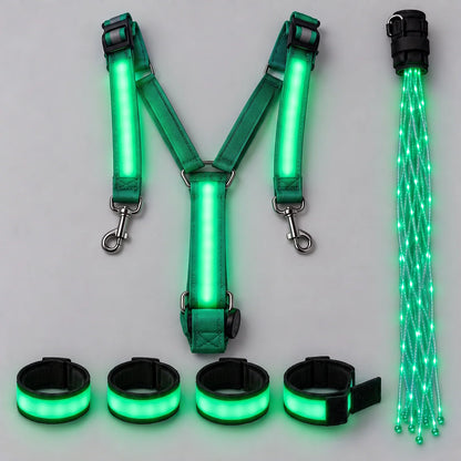SteedLume Full Glow Kit