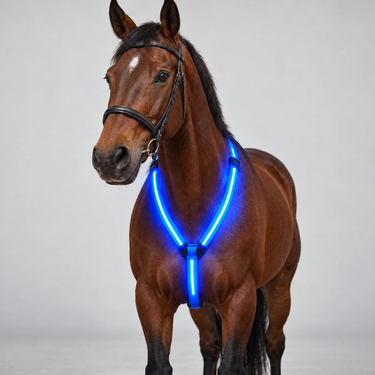 SteedLume Glow Chest Strap