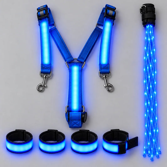 SteedLume Full Glow Kit